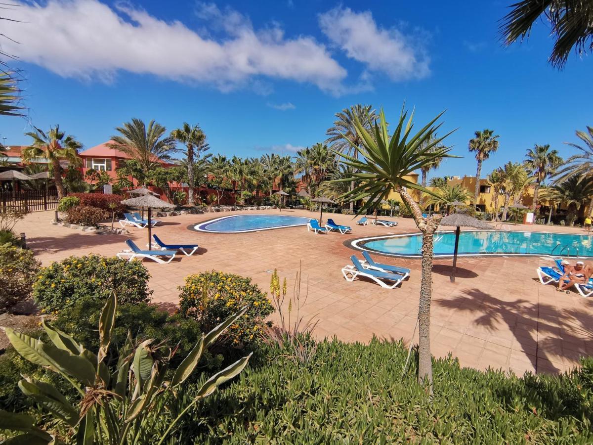 Appartamento Spagnolo Oasis Tamarindo Corralejo Extérieur photo