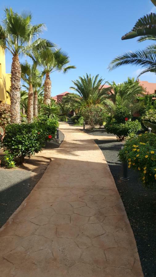Appartamento Spagnolo Oasis Tamarindo Corralejo Extérieur photo
