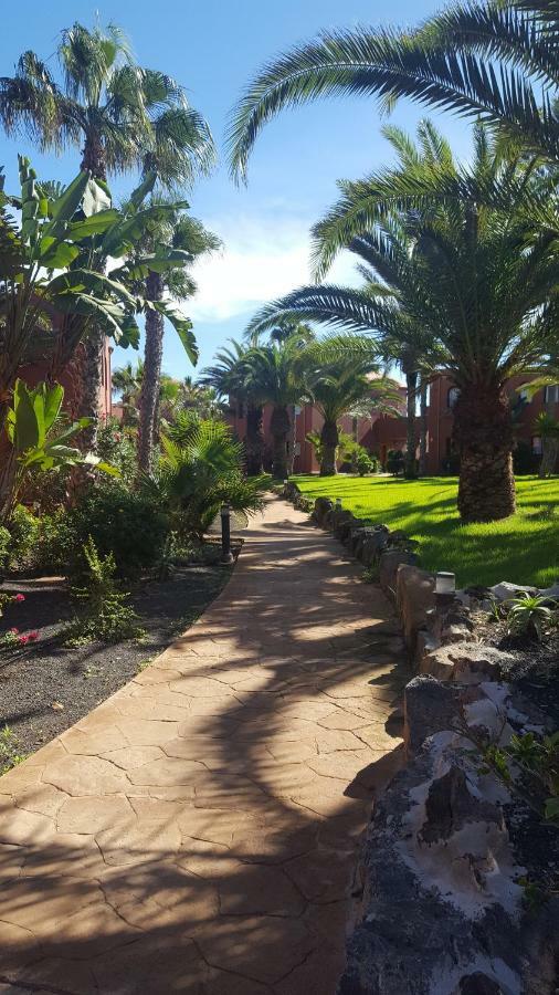 Appartamento Spagnolo Oasis Tamarindo Corralejo Extérieur photo
