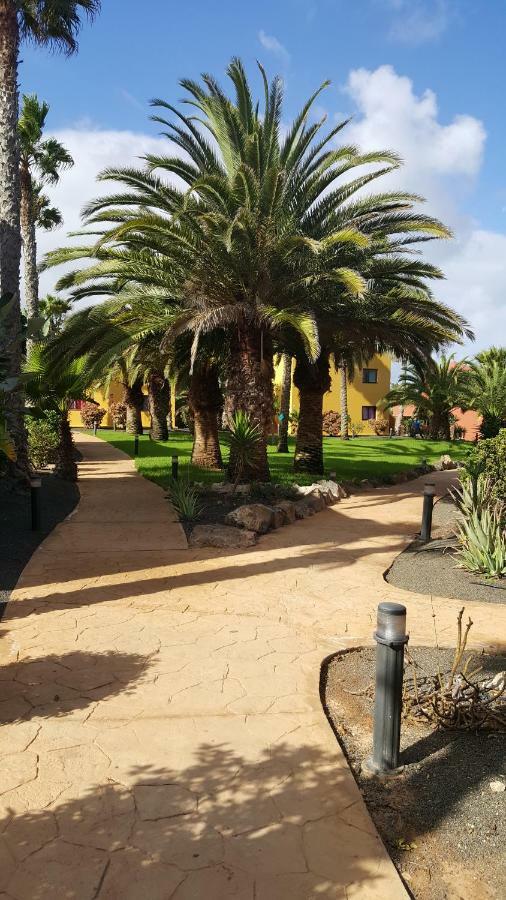Appartamento Spagnolo Oasis Tamarindo Corralejo Extérieur photo
